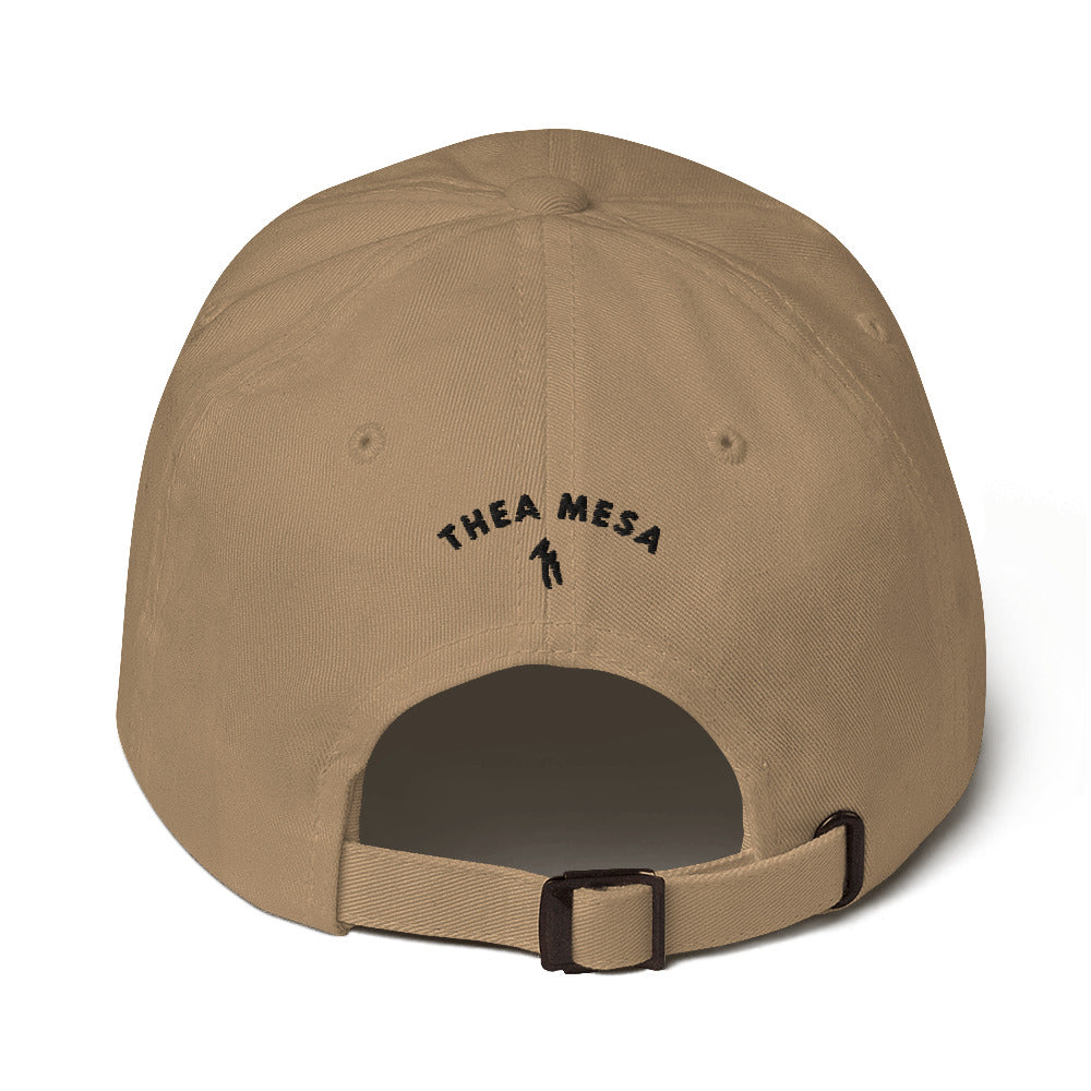 TM Dad hat 2 sided