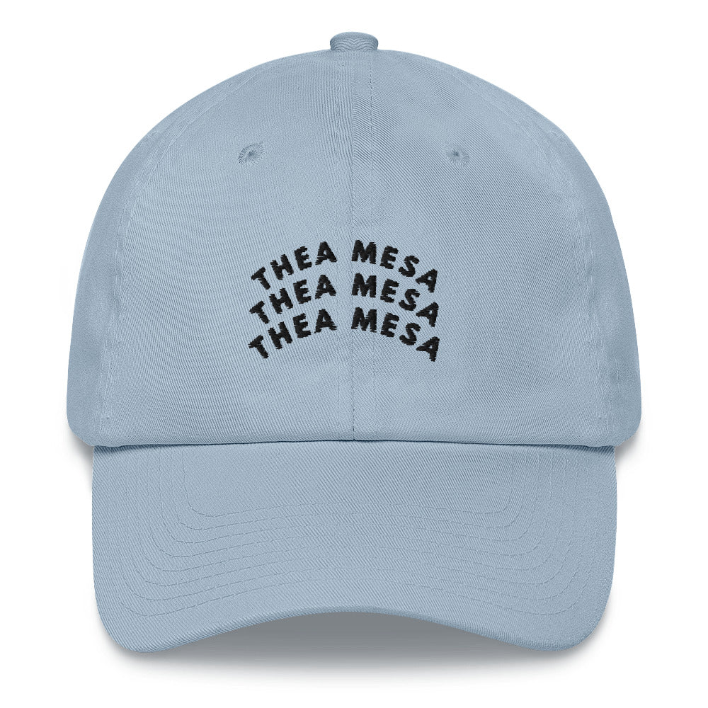 3X TM Dad hat