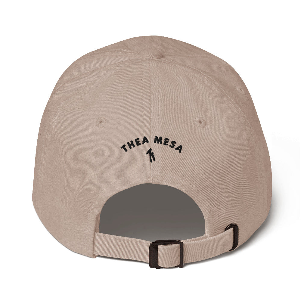 TM Dad hat 2 sided