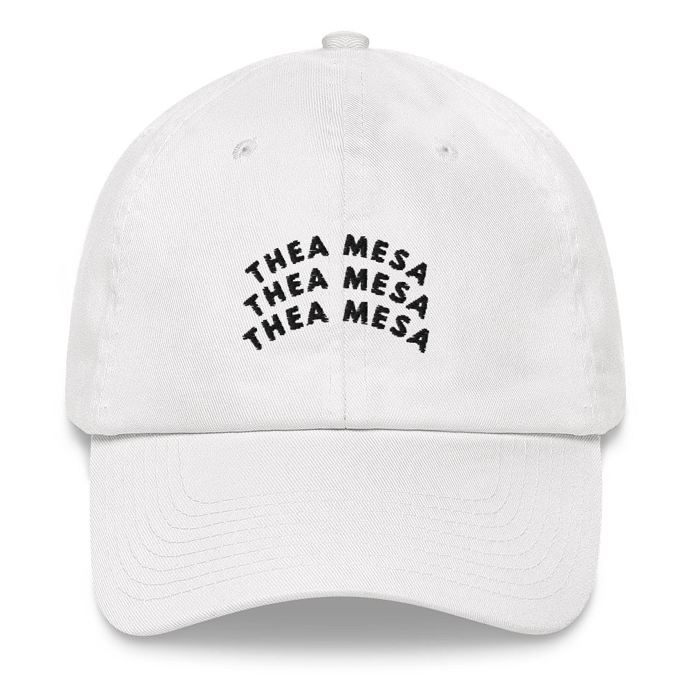 3X TM Dad hat